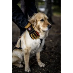 Hestra Gants Outdoor à 5 Doigts - Ergo Grip Active - Orange/offwhite 19 Hestra Gants Outdoor à 5 Doigts - Ergo Grip Active - Orange/offwhite -Hestra hestra ergo grip active 5 finger gloves orange offwhite 3 1552976